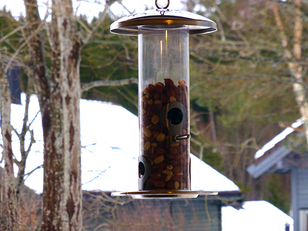 Automat med nøtter til fuglene – kom og spis!
