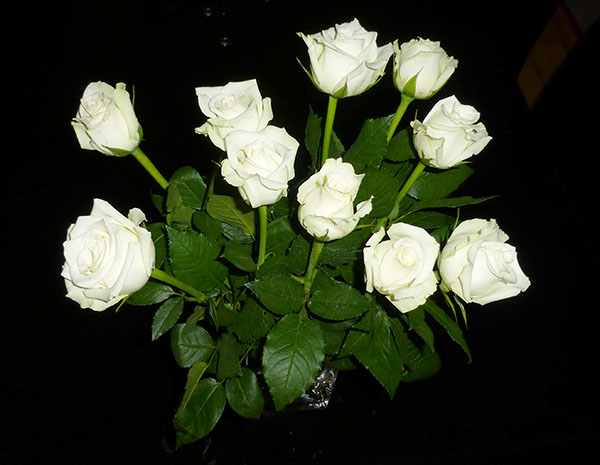 Vakre hvite roser til meg!